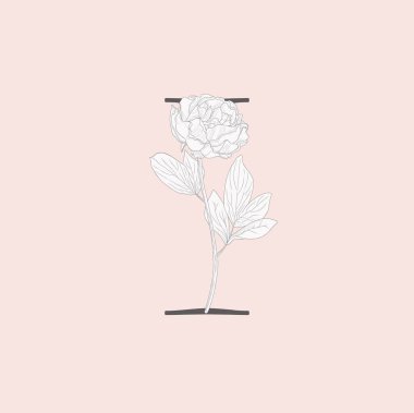 Çiçek çiçek ilk ben Monogram ve Logo vektör