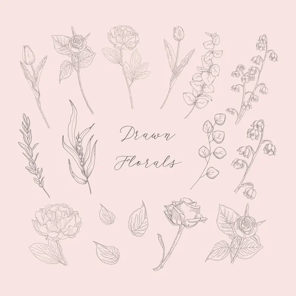 Vector Hand Drawn Florals, Flores, Plantas, Ervas . — Vetor de Stock