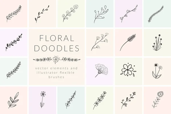 Διάνυσμα hand ζωγραφιμένα άνθη και φυτά — Διανυσματικό Αρχείο