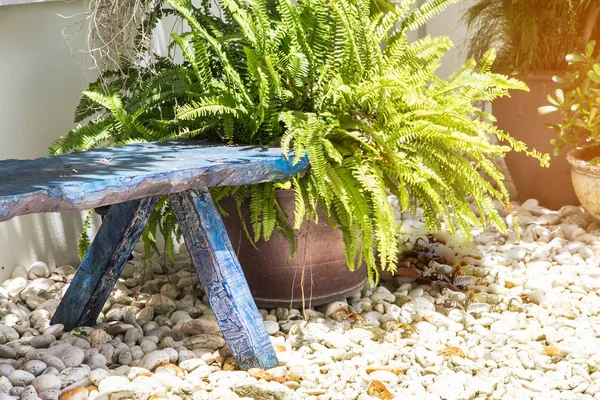 小さな庭の美しいコーナー、装飾ガーデニング — ストック写真