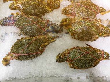 Satılık kullanım için bir pazarda deniz ürünleri standında buz üzerinde Taze yengeç 