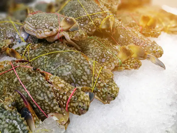 Caranguejo fresco no gelo na cabine de frutos do mar em um mercado para uso de venda — Fotografia de Stock