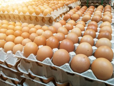 Yumurta tepsisinde kahverengi tavuk yumurtaları, taze çiğ tavuk yumurtaları süpermarke 'da satılık.