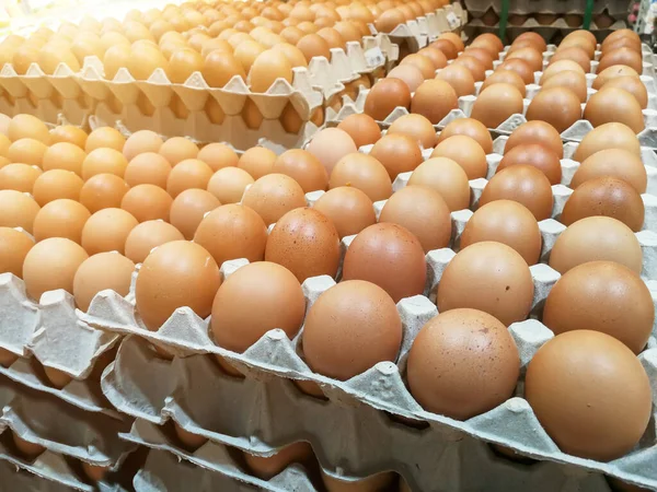 Brown chicken eggs in the egg tray,fresh raw chicken eggs in package for sale in supermarke