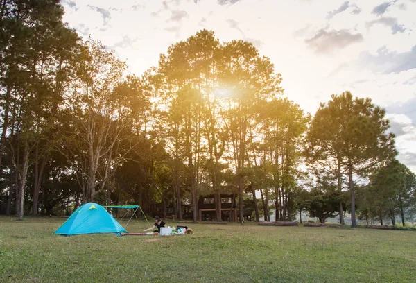 Tienda Camping Azul Campo Verde Cerca Del Bosque Durante Dramático —  Fotos de Stock