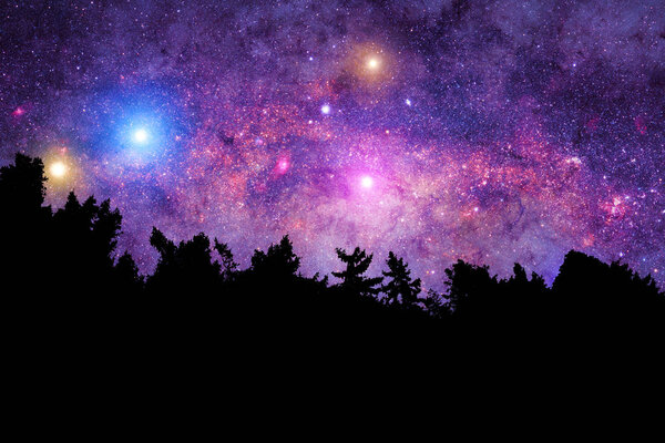 Nature theme with space background