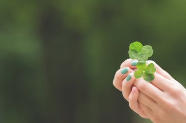 Yonca yaprağı kadın elinde