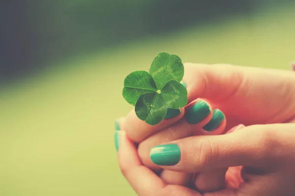 Clover Leaf Woman Hand — Stock Photo, Image