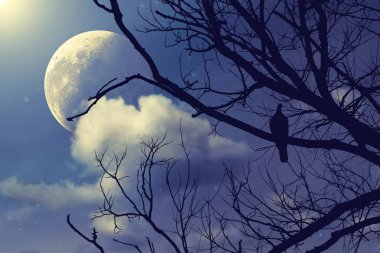 Alan arka plan ile doğa teması