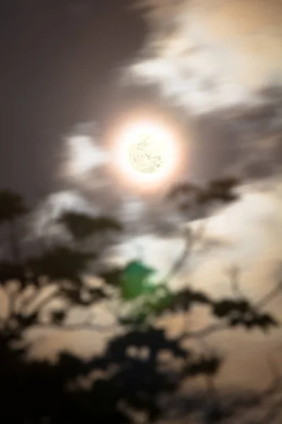 Σελήνη Στο Χώρο Στο Φυσικό Υπόβαθρο — Φωτογραφία Αρχείου