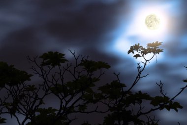 Doğal zemin üzerine uzayda ay