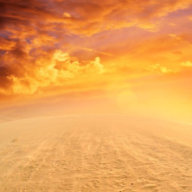 Muhteşem çöl doğal shot