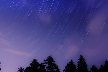 Orman, gece gökyüzü astrophotography kavramı siyah silüeti üzerinde dairesel star yollar