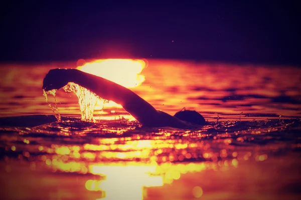 Silhouette Eines Mannes Der Den Tropischen Spiegelungen Schwimmt Optischer Fokus — Stockfoto