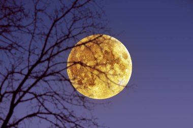 Moon view from the mountain at night or evening clipart