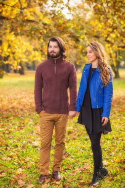 Çift elele dururken sonbahar ormanda aşk 