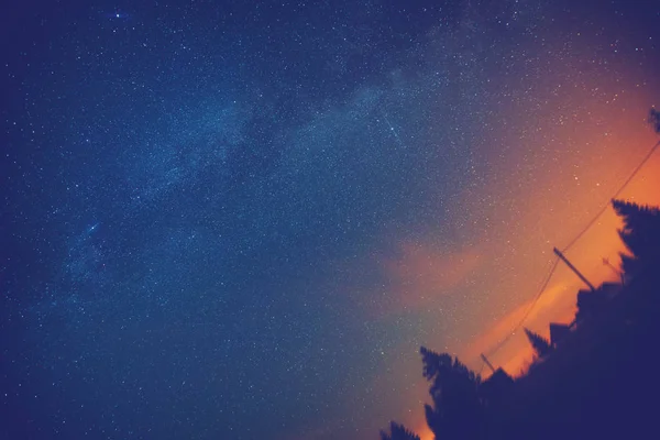 Jasné Hvězdy Zářící Noční Obloze Nad Temné Siluety Stromů Koncepce — Stock fotografie