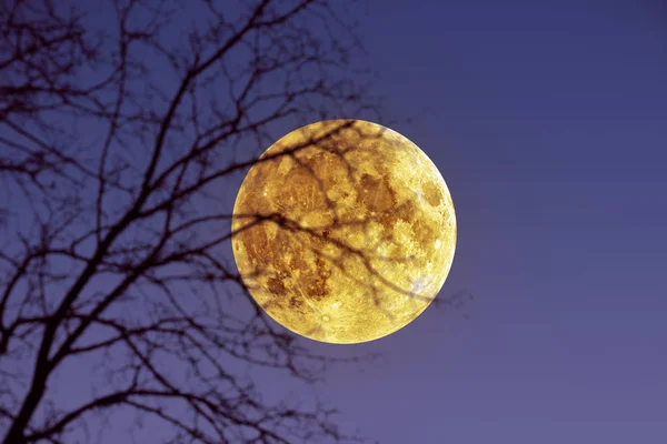Měsíční Pohled Hory Noci Nebo Večer — Stock fotografie