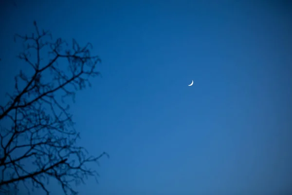 Vista Luna Desde Montaña Por Noche Por Noche — Foto de Stock