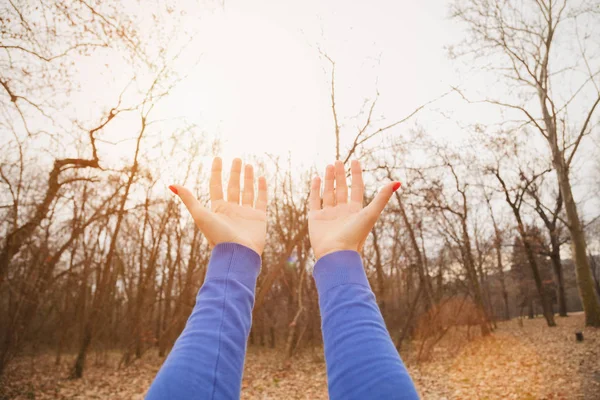 kadın sonbahar orman havada ellerini kaldırdı 