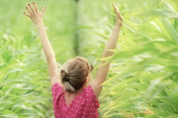 arkadan ellerini gökyüzüne Mısır alanında yetiştirme ile kadın görünüşü 