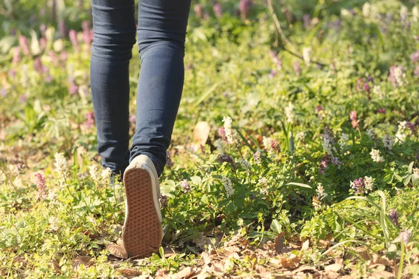 Rückansicht Weiblicher Beine Turnschuhen Auf Der Wiese — Stockfoto