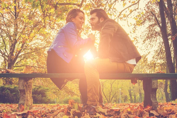 İki tahta bankta oturan ve birbirlerine batımını sonbahar ormanda el ele tutuşarak aşk içinde 
