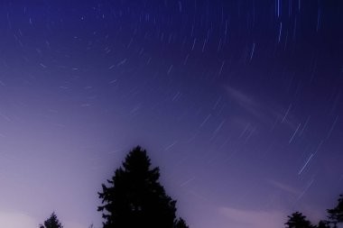Orman, gece gökyüzü astrophotography kavramı siyah silüeti üzerinde dairesel star yollar