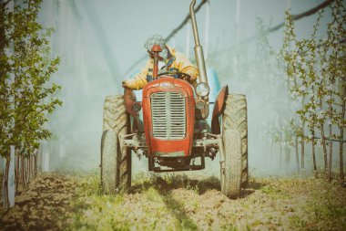 Kiraz bir plantasyonda püskürtme traktör
