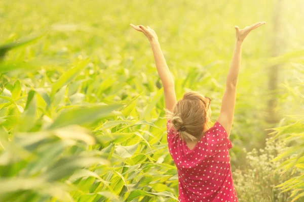 back view of woman with raising hands to sky in corn field