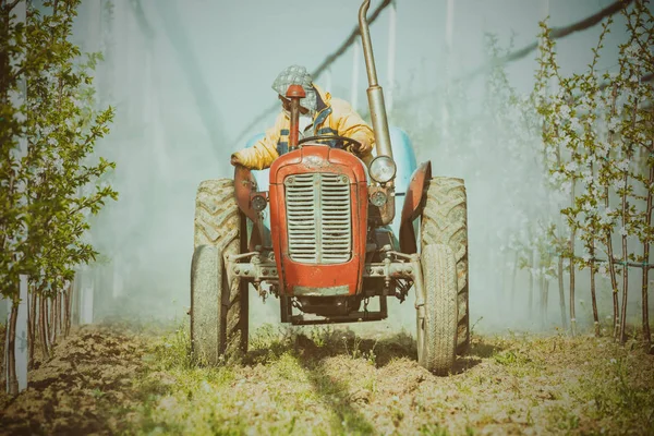 Kiraz bir plantasyonda püskürtme traktör