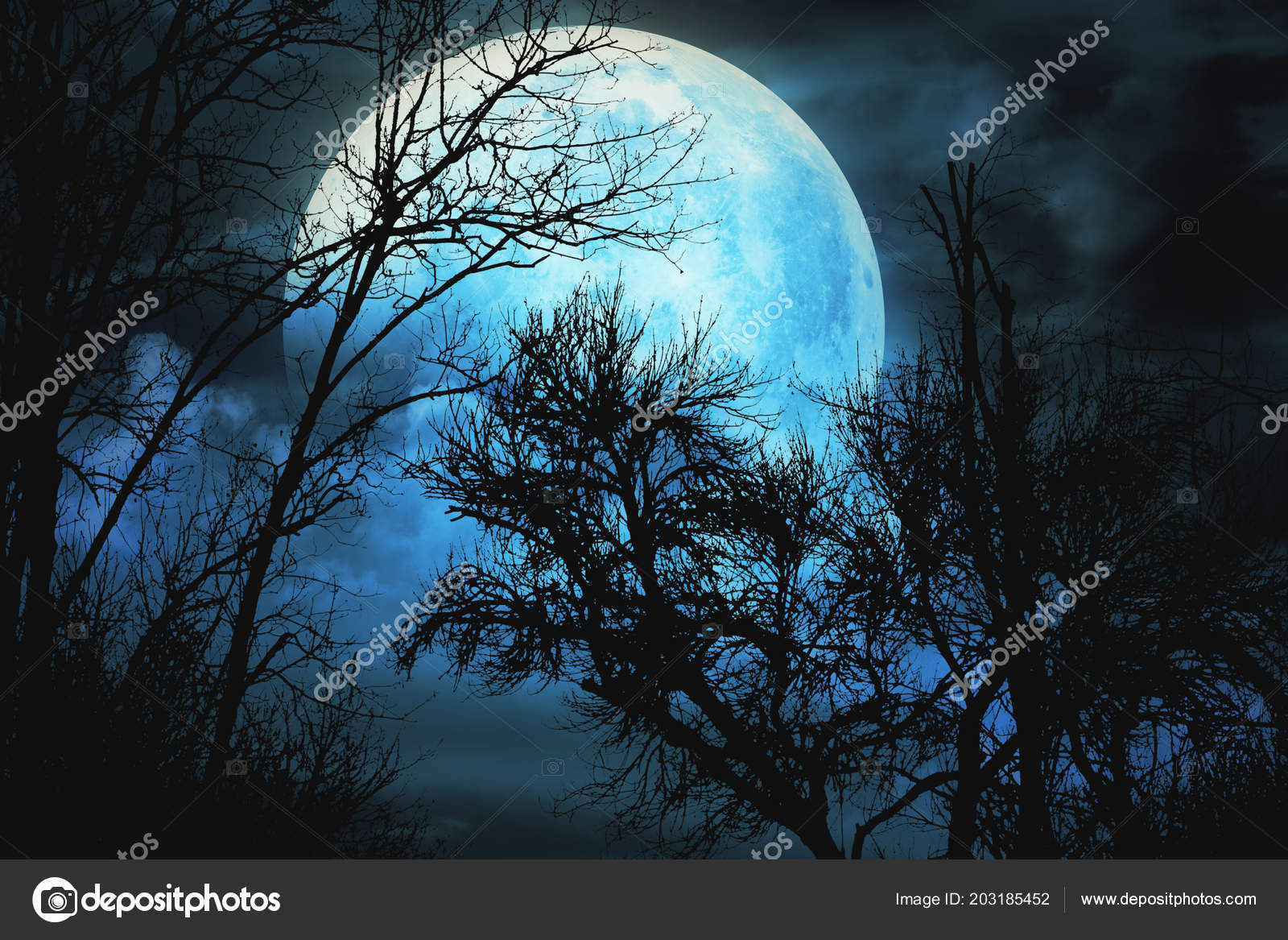 Moon View Mountain Night Evening Stock Photo Image By C Milangucci