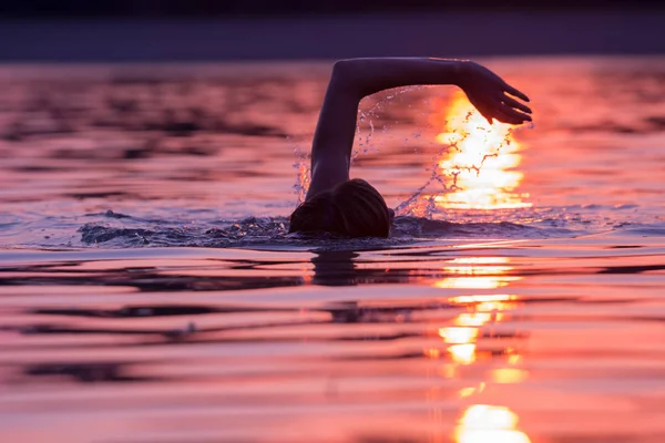 Professional fit swimmer swimming in lake at sunset