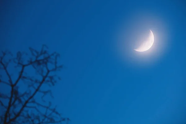 저녁에 산에서 — 스톡 사진