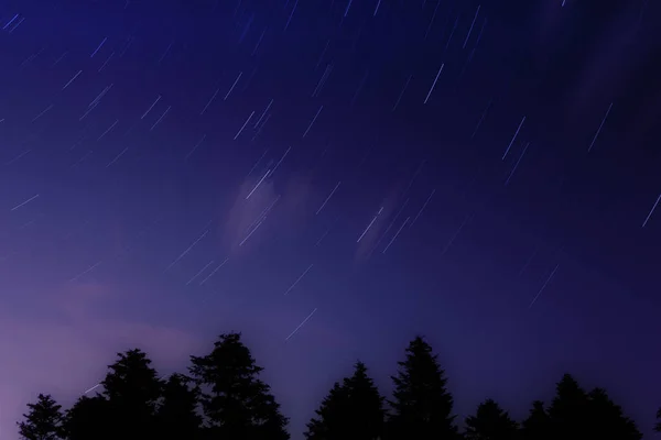 Senderos Estrellas Circulares Sobre Silueta Negra Del Bosque Concepto Astrofotografía — Foto de Stock