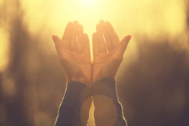 kadın sonbahar orman havada ellerini kaldırdı 