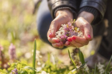 Çayırda, çiçek yığını tutan eller yakın çekim  