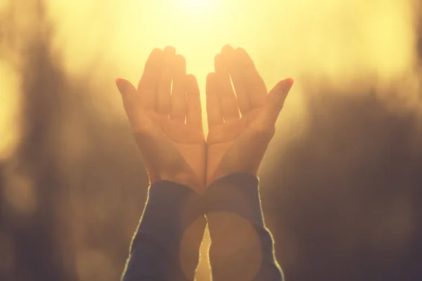 Woman Raised Hands Sky Autumn Forest — Stock Photo, Image