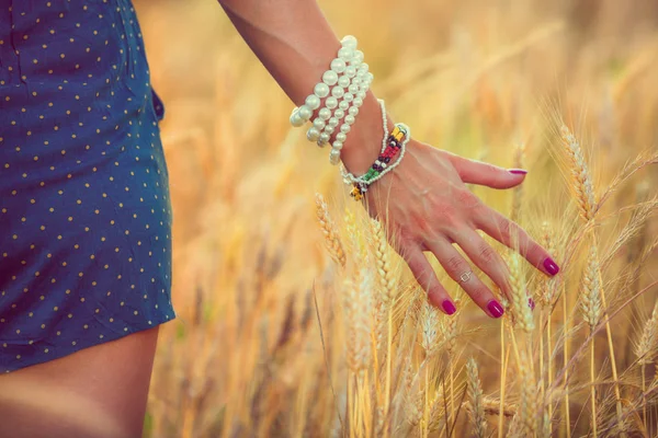 Mano Femminile Toccare Orecchie Orzo Nel Prato Nella Giornata Sole — Foto Stock