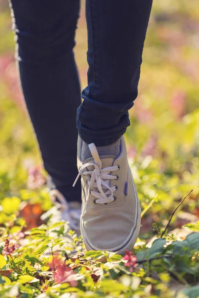 女性腿在运动鞋散步在草甸 — 图库照片