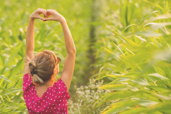 Вид Ззаду Жінки Піднятими Руками Показують Знак Серця Стоячи Кукурудзяному — стокове фото