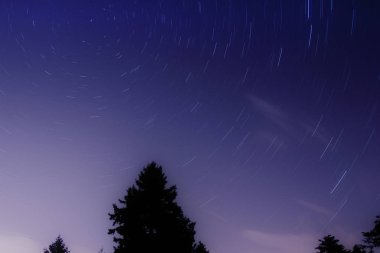 Orman, gece gökyüzü astrophotography kavramı siyah silüeti üzerinde dairesel star yollar