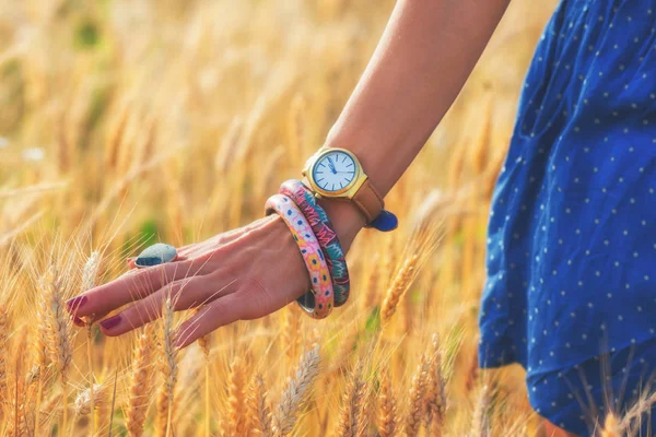 Female Hand Watch Bracelets Touching Ears Barley Meadow — Stock Photo, Image