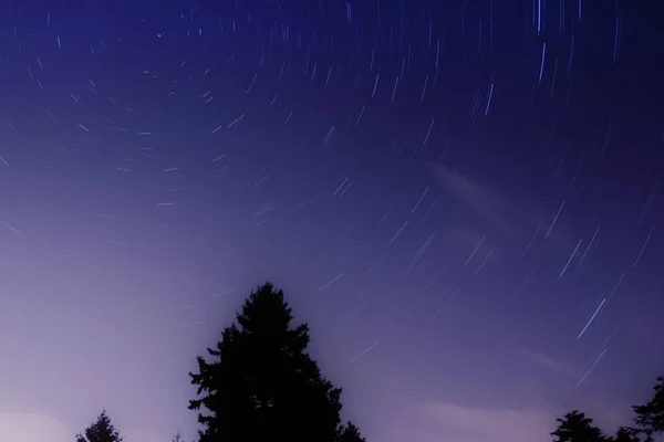 Senderos Estrellas Circulares Sobre Silueta Negra Del Bosque Concepto Astrofotografía — Foto de Stock