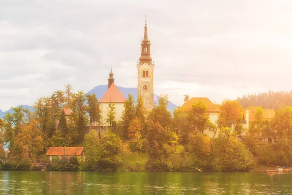 Красивый Вид Озеро Блед Словении — стоковое фото