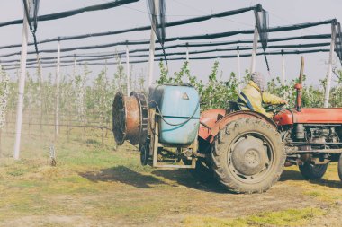 Kiraz bir plantasyonda püskürtme traktör