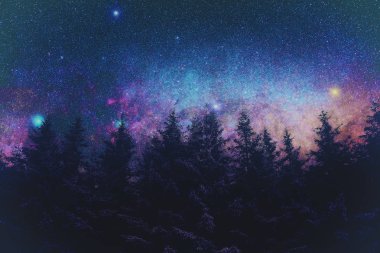 ağaçlar, boşluk kavramı koyu siluetleri üzerinde gece gökyüzünde parlayan parlak yıldızlar dizini 