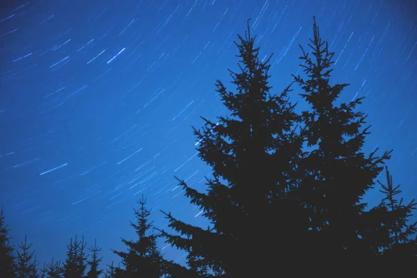 Estrellas Brillantes Que Brillan Cielo Nocturno Sobre Siluetas Oscuras Árboles — Foto de Stock