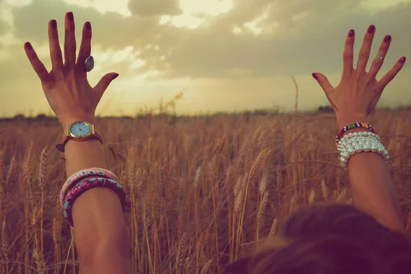 back view of woman raising hands with watch and bracelets in barley meadow at sunset