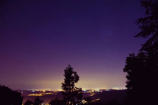 Helle Sterne Die Nachthimmel Über Dunklen Baumsilhouetten Leuchten Raumkonzept — Stockfoto